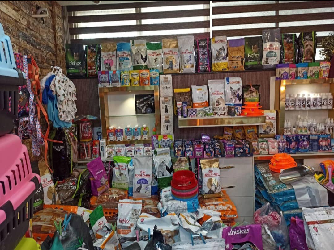 پت شاپ گارفیلد در تبریز